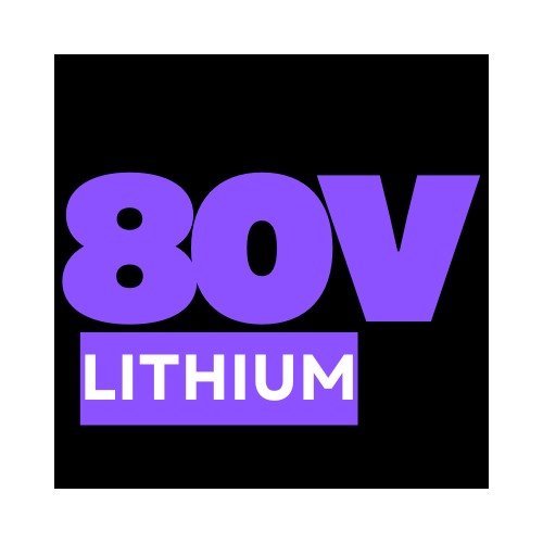 Lithium 80V Chargers