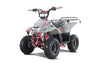 TAO Boulder 110cc Gas ATV