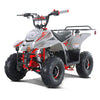 TAO Boulder 110cc Gas ATV