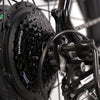 TAUBIK Westridge 29T - Mountain eBike