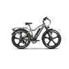 EMMO E-Wild Pro - Fat Tire eBike