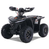 Denago E-Hawk Full Electric ATV