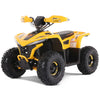 Denago E-Hawk Full Electric ATV