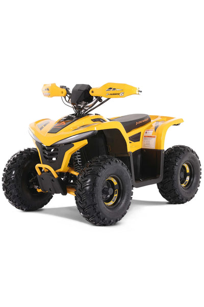 Denago E-Hawk Full Electric ATV