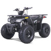 TAO Mudhawk10 ATV Gas 125cc