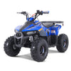 TAO Mudhawk 6 Gas ATV