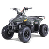 TAO Mudhawk 6 Gas ATV