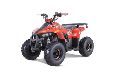 TAO Mudhawk 6 Gas ATV