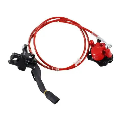 Rear Hydraulic Disk Brake Assembly