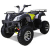 TAO Bull200s 200cc Gas ATV