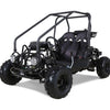 TAO Gk-110 Automatic 110cc Go Kart