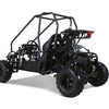 TAO Gk-110 Automatic 110cc Go Kart