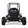 TAO Gk-110 Automatic 110cc Go Kart