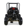 TAO Gk-110 Automatic 110cc Go Kart