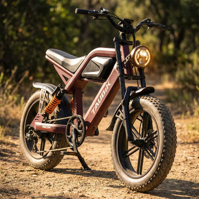 TAUBIK Recon Cafe Racer E-Bike
