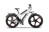 EMMO E-Wild X - Fat Tire eBike