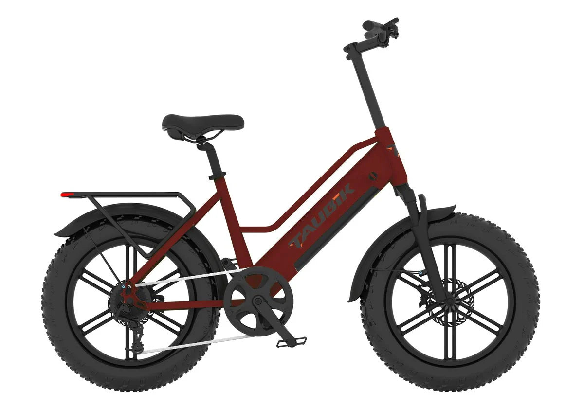 TAUBIK Aspect - Fat Tire eBike