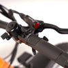 TAUBIK Westridge 4T - Fat Tire eBike