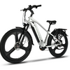 EMMO Spurt Pro - Commuter eBike