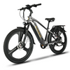 EMMO Spurt Pro - Commuter eBike