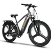EMMO Spurt Pro - Commuter eBike
