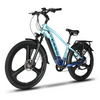 EMMO Spurt Pro - Commuter eBike