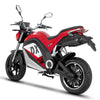 EMMO DX - Motorcycle Style eBike
