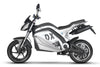 EMMO DX - Motorcycle Style eBike