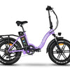 EMMO E-Mini Pro EBike Step Through