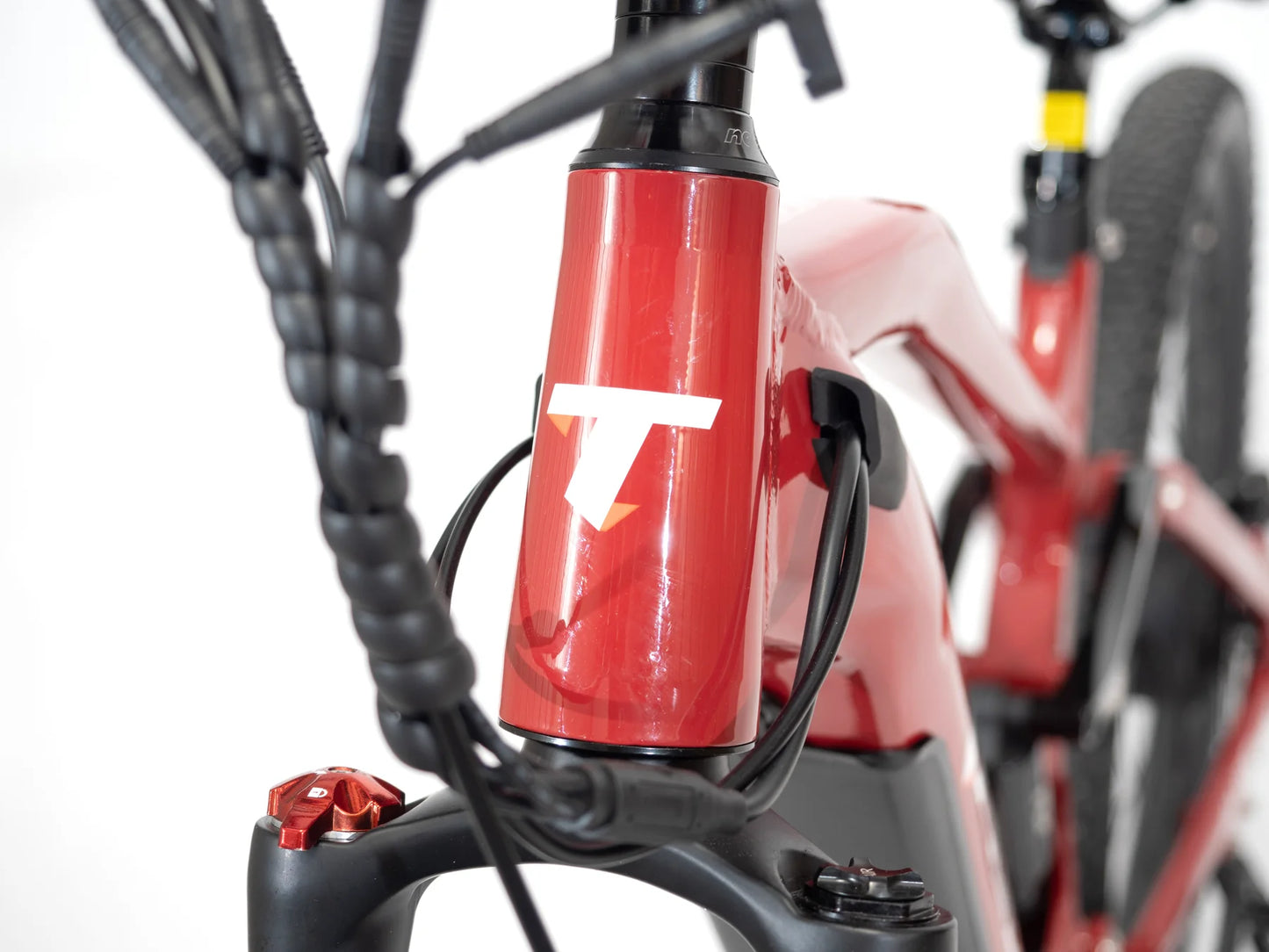 TAUBIK Alps - Full Suspension Mountain eBike