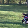 SHOK Ride On - Dirt Doodle, 24V, 250W, Leather Seats, EVA Wheels