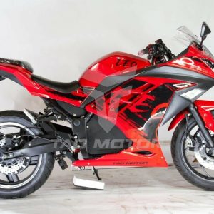 TAO Leo 724 - Motorcycle Style eBike