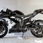 TAO Leo 724 - Motorcycle Style eBike