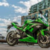 TAO Leo 724 - Motorcycle Style eBike