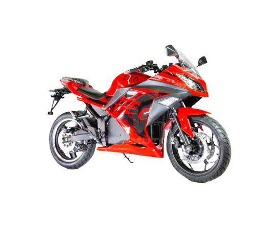 TAO Leo 724 - Motorcycle Style eBike