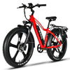 EMMO E-Wild Pro - Fat Tire eBike
