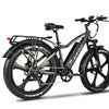 EMMO E-Wild Pro - Fat Tire eBike