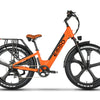 EMMO VFO Pro Step Through EBike
