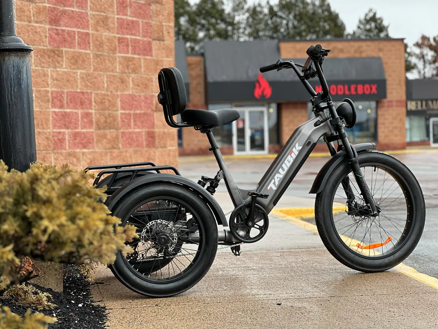 TAUBIK Pivot - Trike Style eBike