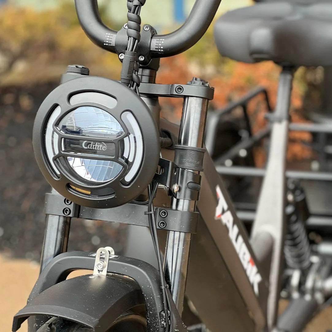 TAUBIK Pivot - Trike Style eBike